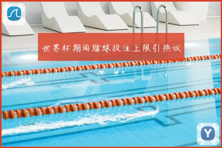 世界杯期间赌球投注上限引热议