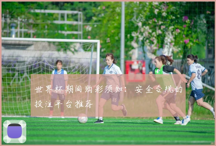 世界杯期间购彩须知：安全合规的投注平台推荐