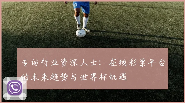 专访行业资深人士:在线彩票平台的未来趋势与世界杯机遇