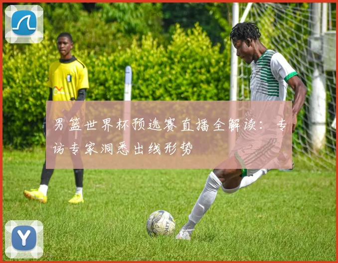 男篮世界杯预选赛直播全解读：专访专家洞悉出线形势