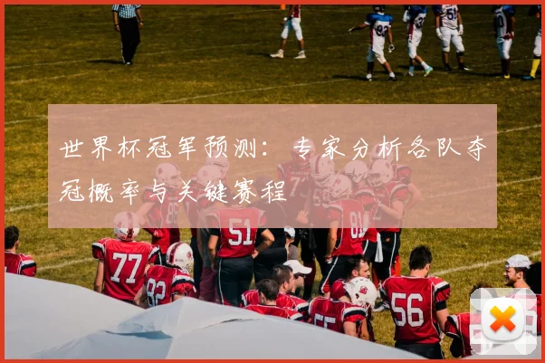 世界杯冠军预测:专家分析各队夺冠概率与关键赛程