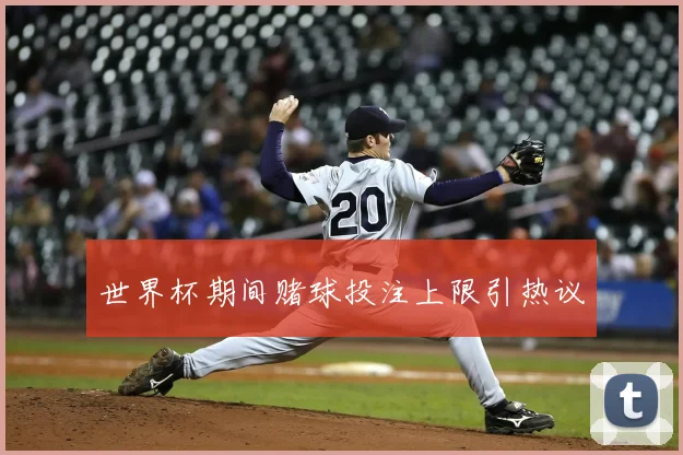 世界杯期间赌球投注上限引热议