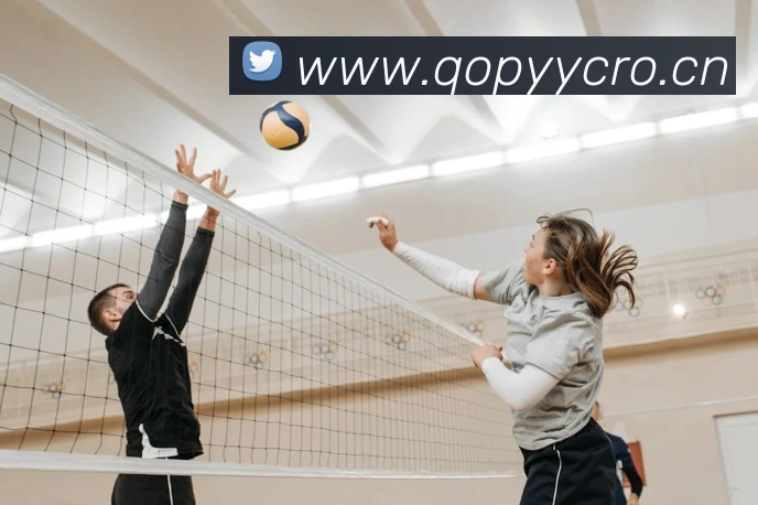 米兰体育在线网站服务体系